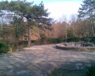 Клепиніне з panoramio.com