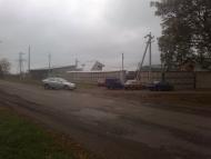 Новогнедое - Последние фото