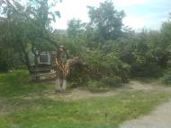 Новогригорівка з panoramio.com