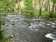 Лісарня з panoramio.com