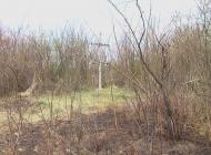 Дулицьке - Останні фото