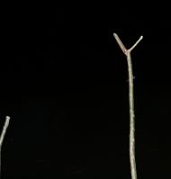 Нижня Мануйлівка з panoramio.com