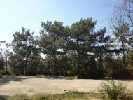 Татарбунари з panoramio.com