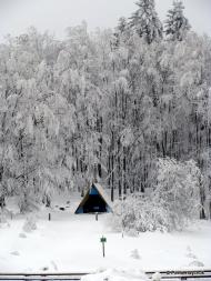 Ужок з panoramio.com