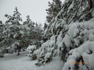 Кіровське з panoramio.com