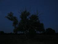 Велика Чернеччина з panoramio.com