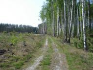 Ніжиловичі з panoramio.com