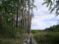 Коженики з panoramio.com