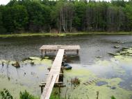 Головин з panoramio.com