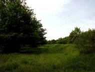 Новоградківка з panoramio.com