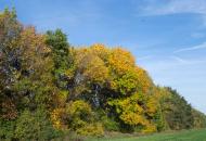 Калинівка з panoramio.com