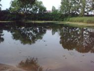 Чапаєвка з panoramio.com