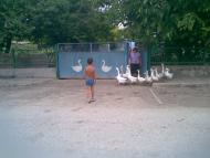 Войкове з panoramio.com