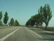 Лебединське з panoramio.com