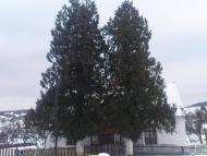 Дешичі з panoramio.com