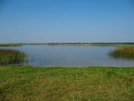 Дубечне з panoramio.com