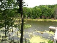 Головин з panoramio.com