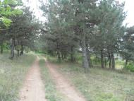 Труд-Гребеник з panoramio.com
