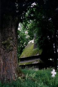 Крайниково з panoramio.com