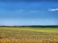 Пеньківка з panoramio.com