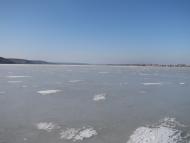 Алтестове з panoramio.com
