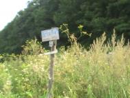 Добрівляни з panoramio.com