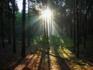 Трушівці з panoramio.com