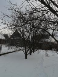 Плавні з panoramio.com
