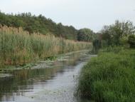 Чехівка з panoramio.com