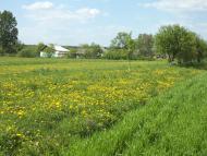 Бодячів з panoramio.com