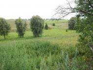 Черемошне з panoramio.com