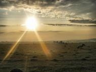 Пеньківка з panoramio.com