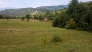 Липовець з panoramio.com