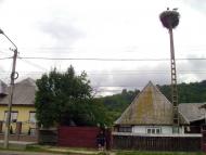 Біла Церква з panoramio.com