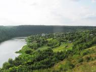 Панівці з panoramio.com