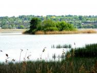 Охматів з panoramio.com