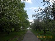 Крючки - Останні фото