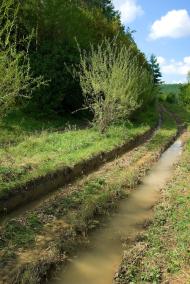 Миньківці з panoramio.com