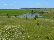 Сніжки з panoramio.com