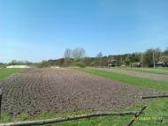 Облапи з panoramio.com