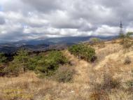 Курське з panoramio.com