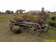 Гречане з panoramio.com - Гречаное