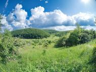 Устечко з panoramio.com