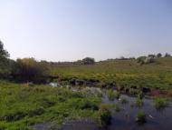 Доломітне з panoramio.com