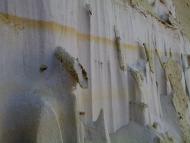 Білокуракине - Останні фото