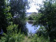 Киселівка з panoramio.com