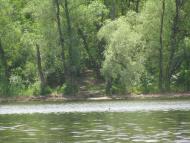 Вільноандріївка з panoramio.com