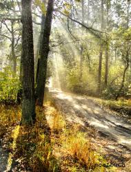 Коженики з panoramio.com