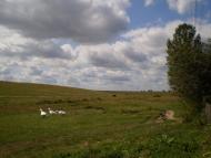 Торки з panoramio.com