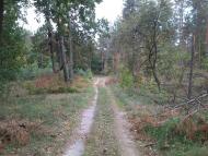 Саварка з panoramio.com